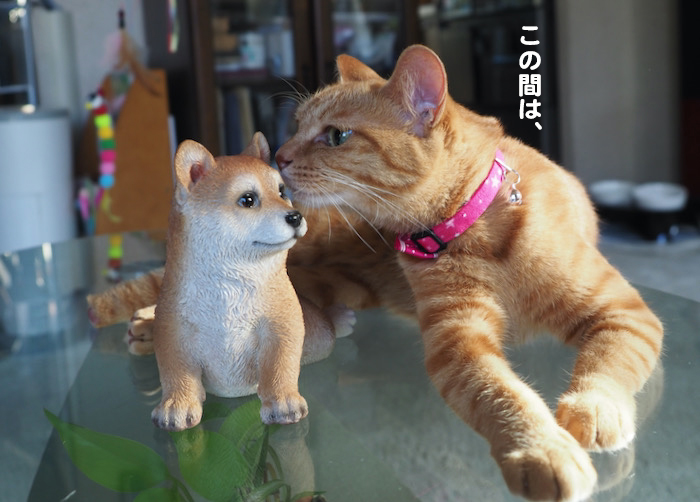 19日夕ブログ３