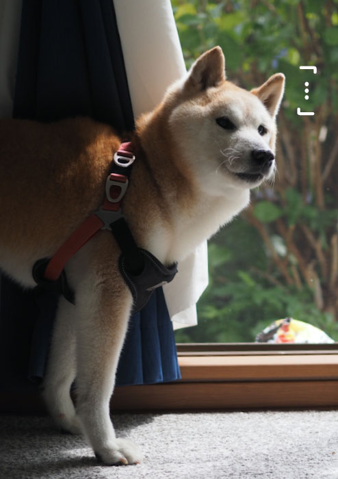 8日夕ブログ８