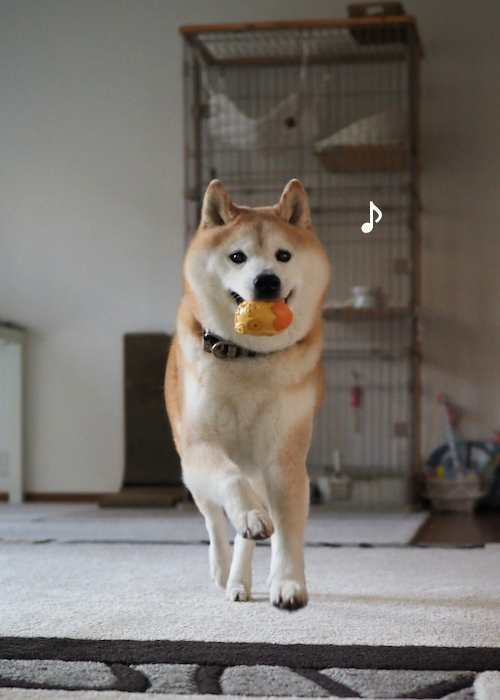 11日ブログ３