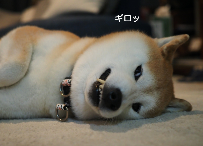 2日夜ブログ９