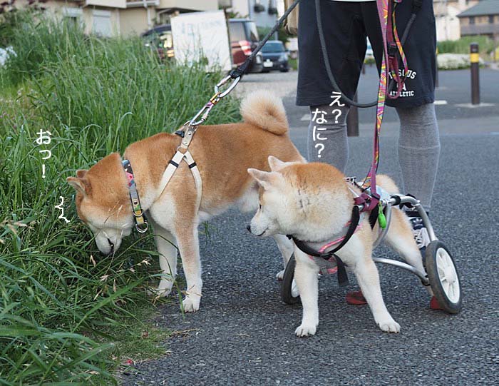 16日ブログ４