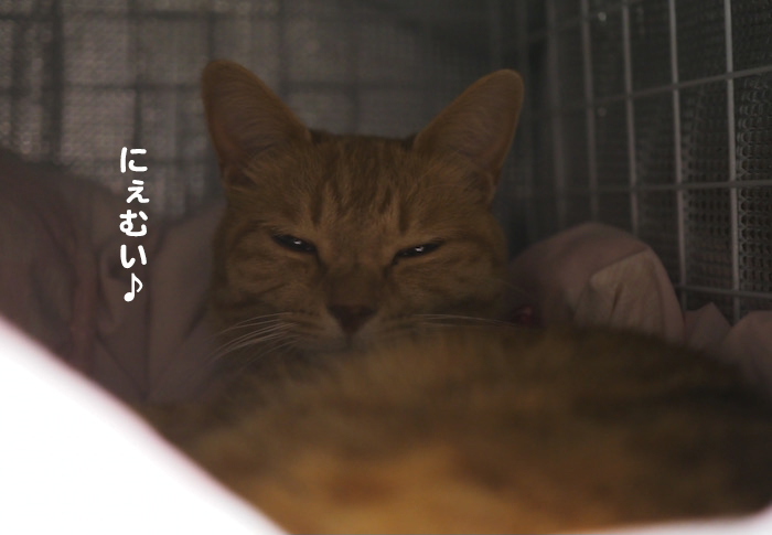 7日夜ブログ３