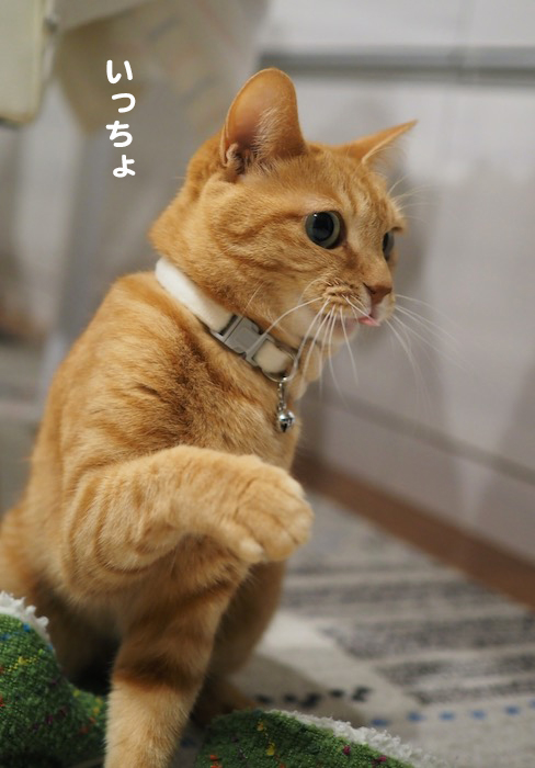 17日夕ブログ3