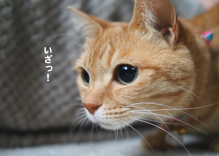 20日夕ブログ８