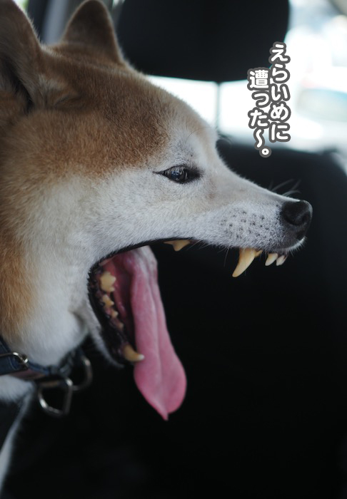 27日夕ブログ９