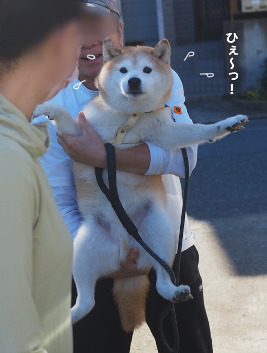 26日ブログ１２