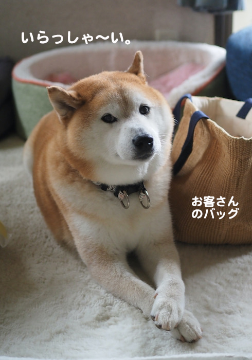26日夜ブログ２