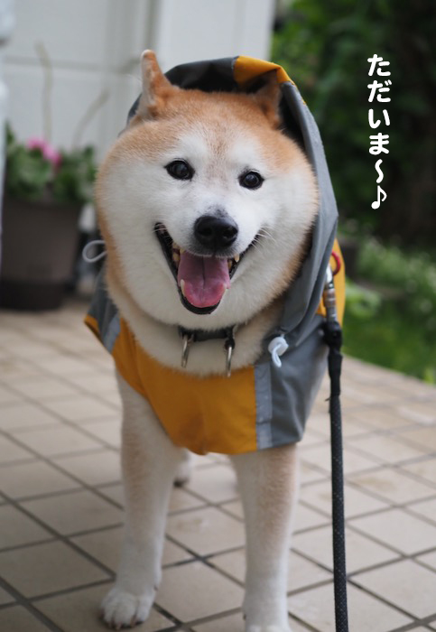 18日夜ブログ６