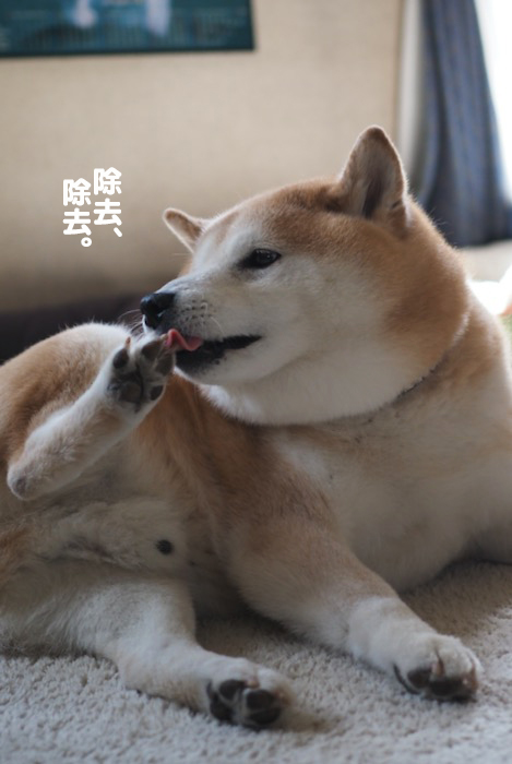 15日ブログ６