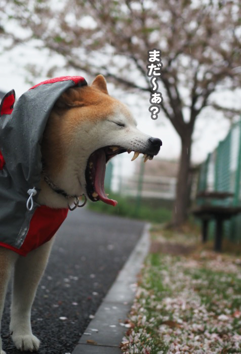 7日夜ブログ６