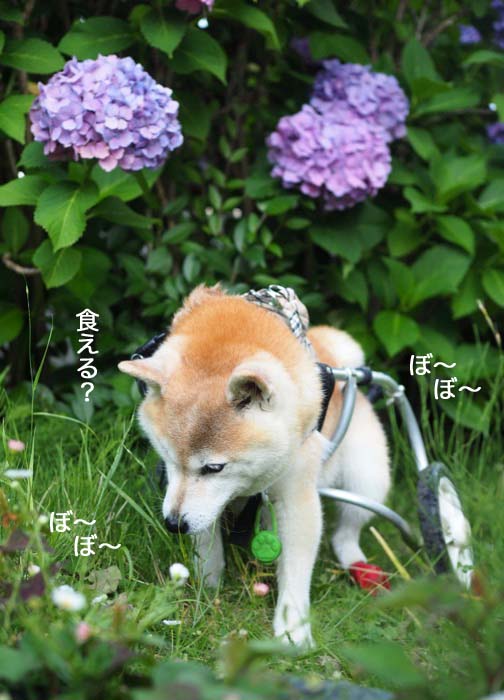 11日ブログ１