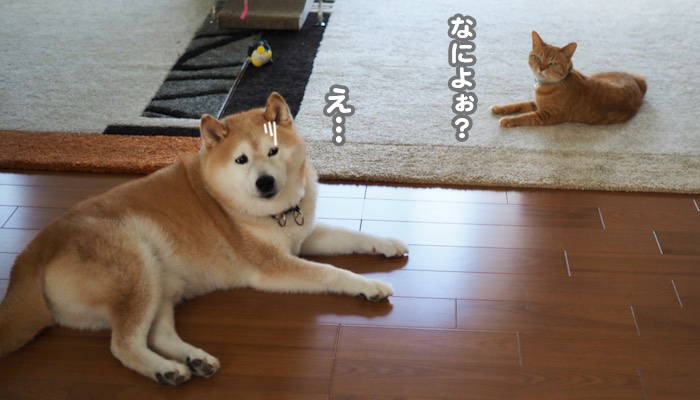 2日ブログ4
