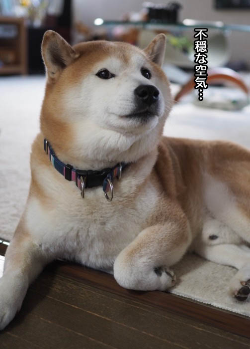 26日夜ブログ２