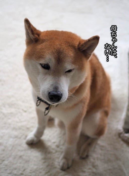 11日夜ブログ１