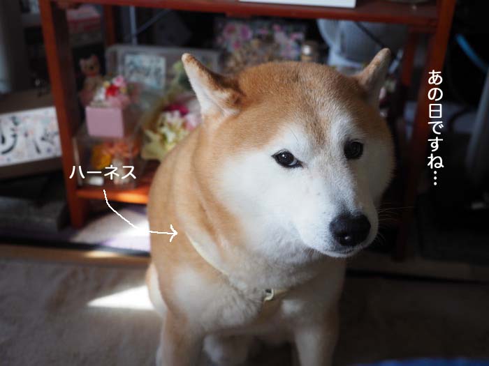 9日夜ブログ３