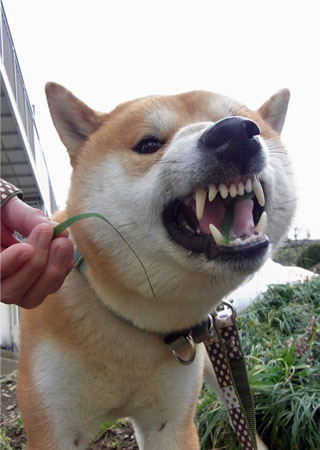 9日ブログ9.jpg