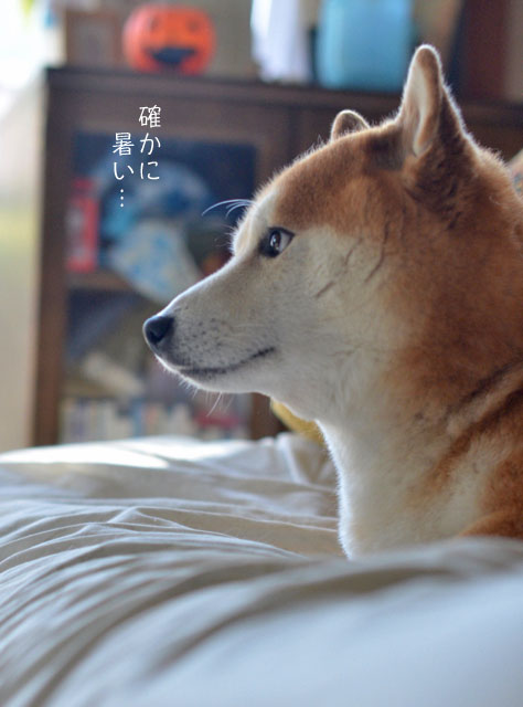 26日ブログ8