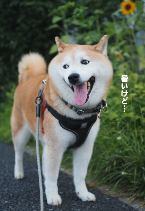1日午前ブログ３
