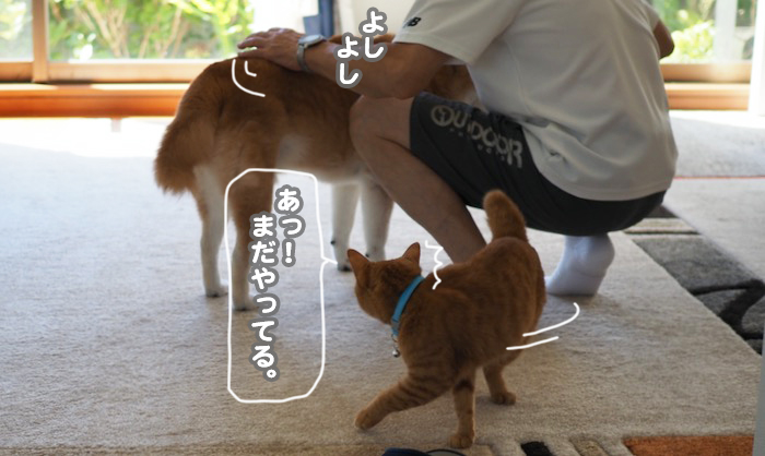 19日ブログ４