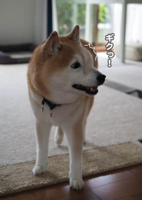 13日夕ブログ２