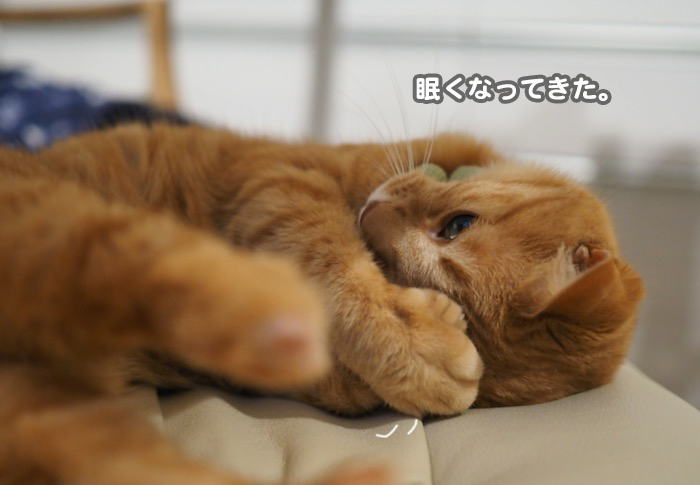 6日夕ブログ３-(1)
