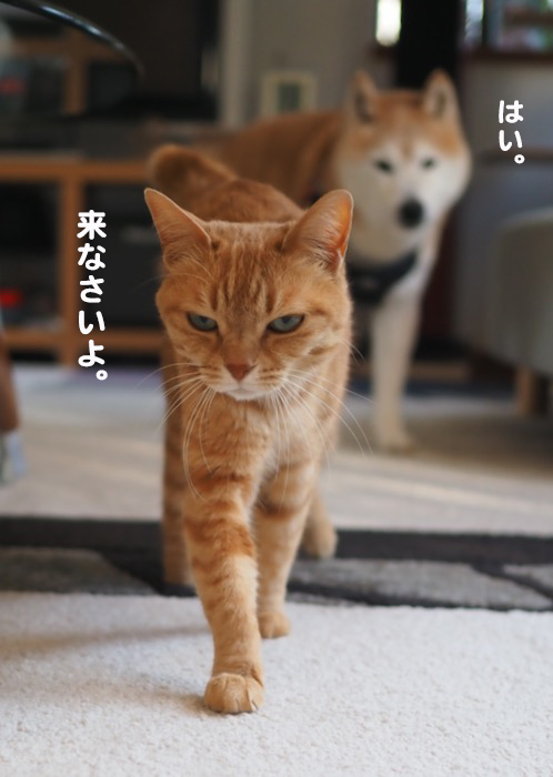 17日夕ブログ５