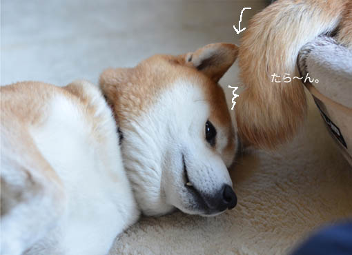 26日ブログ3.jpg