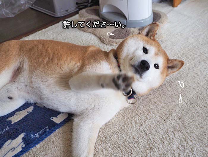 3日午前ブログ２