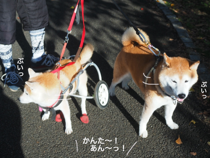 3日夕ブログ５