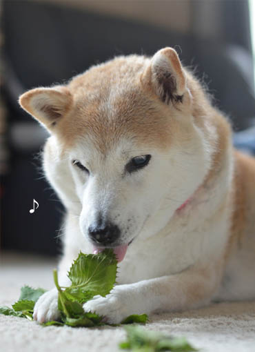 19日ブログ5.jpg