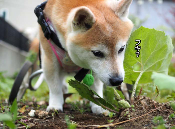 3日ブログ９