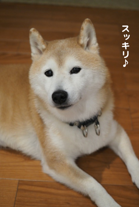 16日夕ブログ６