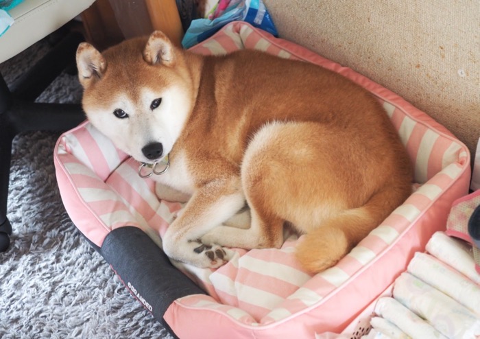24日ブログ11