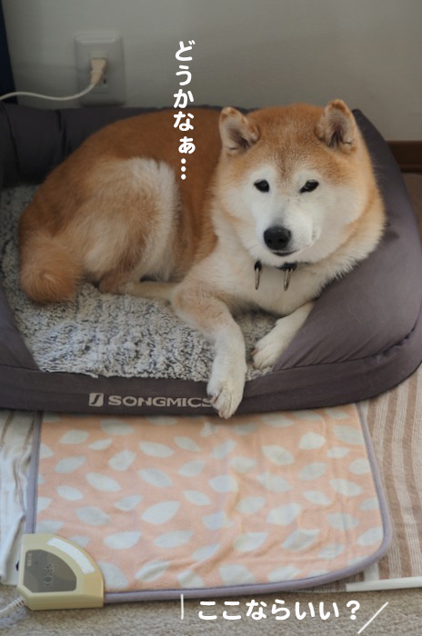 22日ブログ３