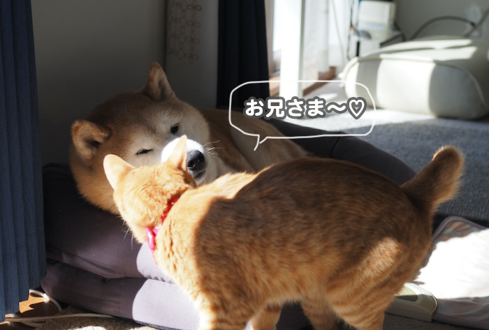 30日夕ブログ4