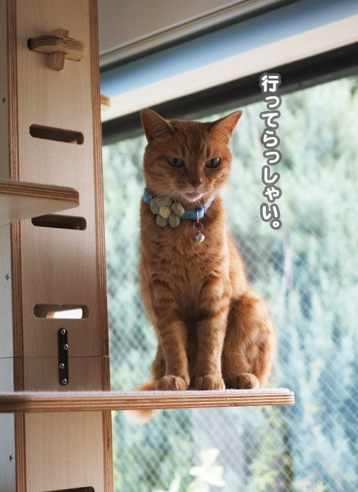 9日夕ブログ４