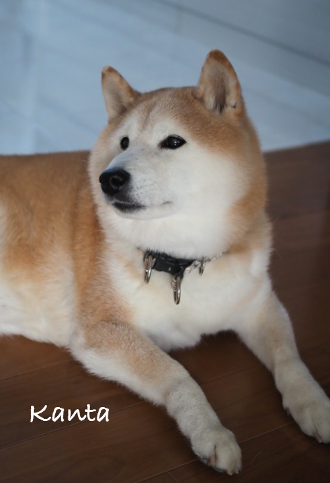 28日夜ブログ２