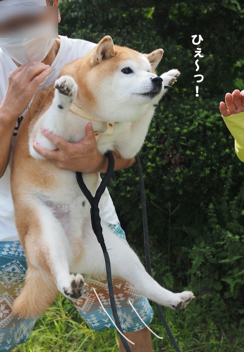 14日夕ブログ８