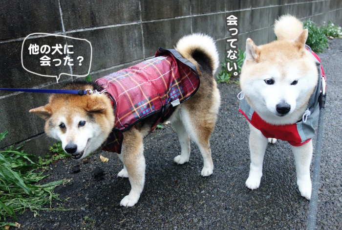 24日夕ブログ３