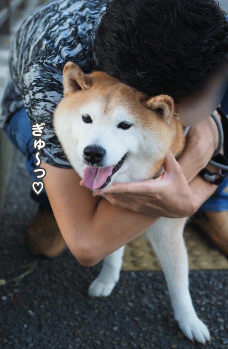 20日夕ブログ７