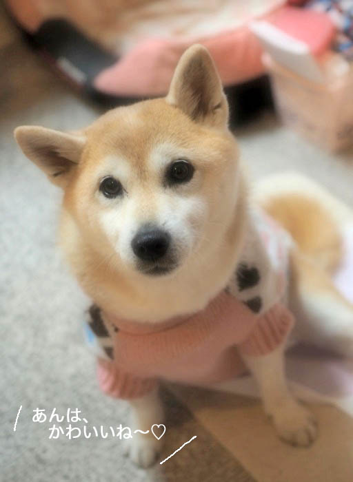 26日夜のブログ１