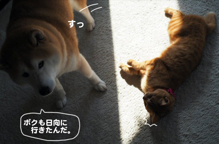 17日夕ブログ５