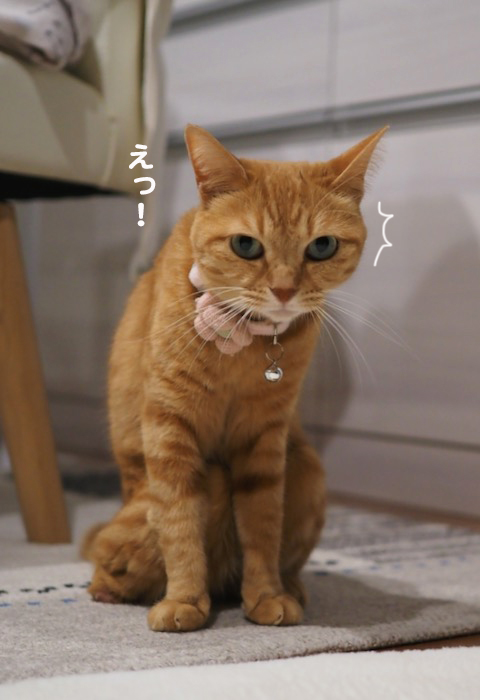 6日ブログ１