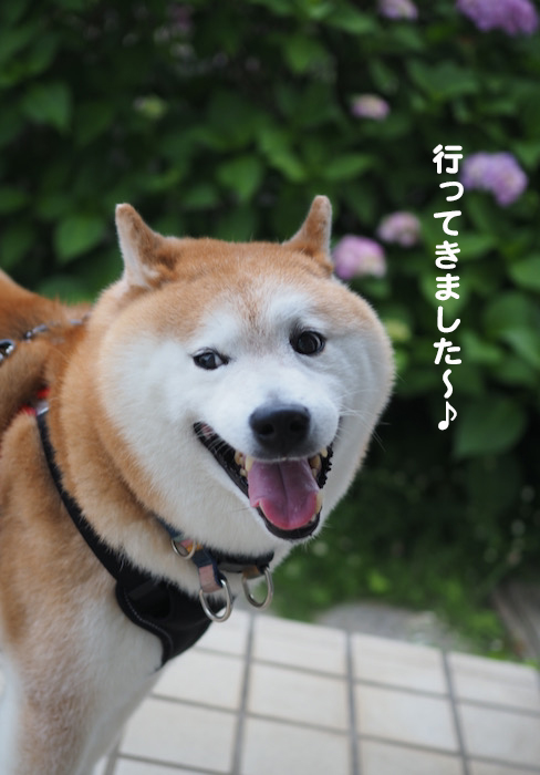 5日夕ブログ８