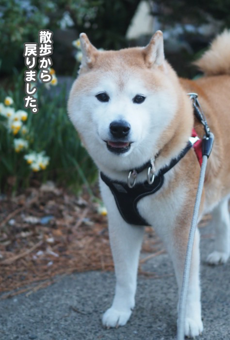 18日夕ブログ２