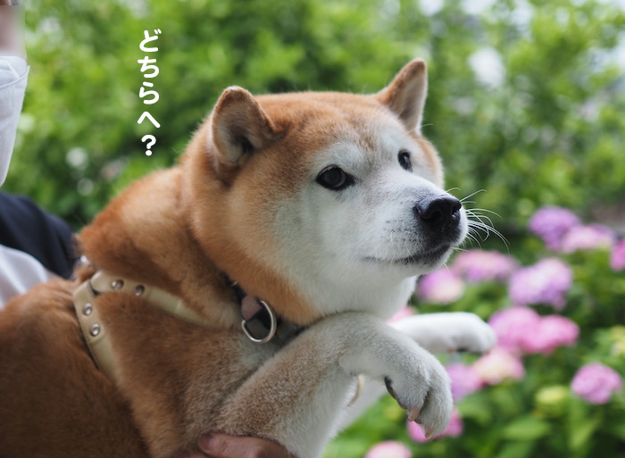 7日ブログ２