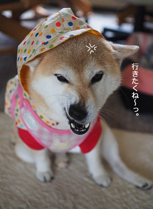11日ブログ3
