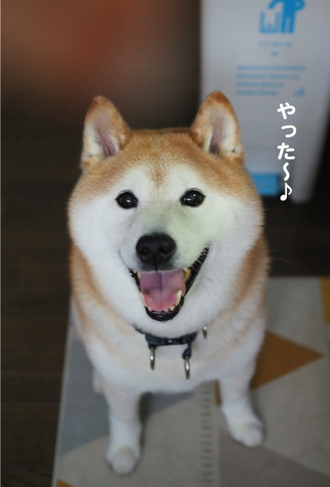 18日夜ブログ６