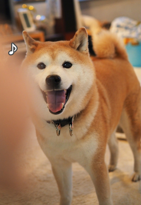 28日夜ブログ５