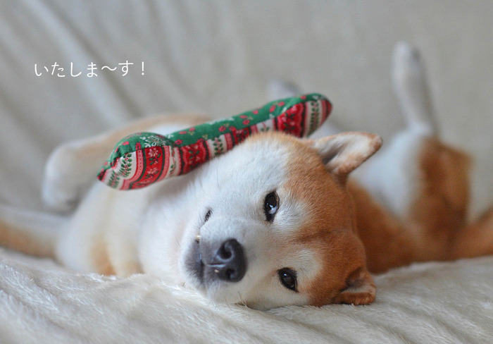 12日ブログ9